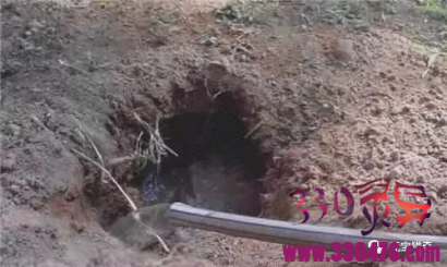 农村老汉往鼠洞里灌水，结果从洞里爬出了一只带壳的怪东西