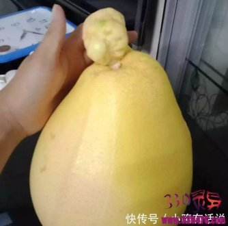 女子买回一个“畸形”的柚子，刚准备丢掉，爷爷看清后竟两眼放光！
