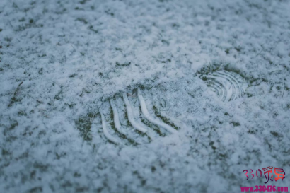 头七回魂夜，雪地留下一串爷爷的脚印