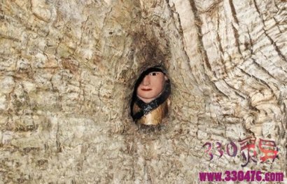 树洞里的小孩，到底是什么？
