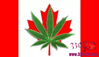 大麻合法之后，加拿大已进入疯狂状态~
