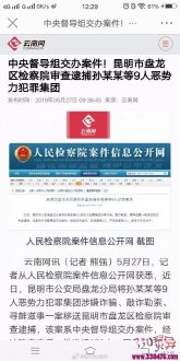 孙小果被逮捕？央视网发表公开道歉，原来是场乌龙