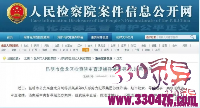 孙小果等9人恶势力犯罪集团被逮捕！系中央督导组交办案件