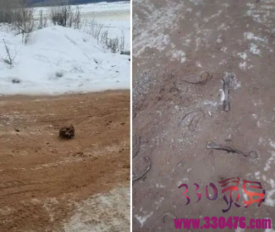 西伯利亚突现“骸骨公路”，百年骷髅滚出沙堆！